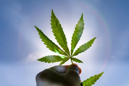 Marijuana Laws