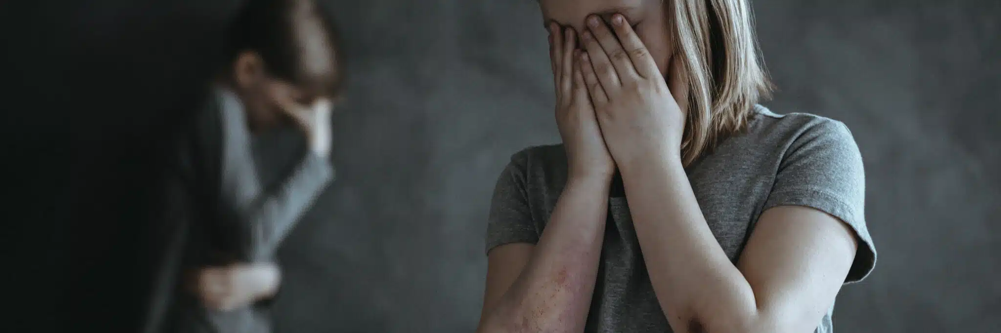 Domestic Violence Criminal Defense Lawyer