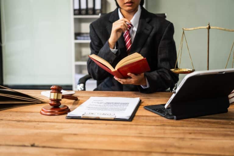 Appeals Lawyer