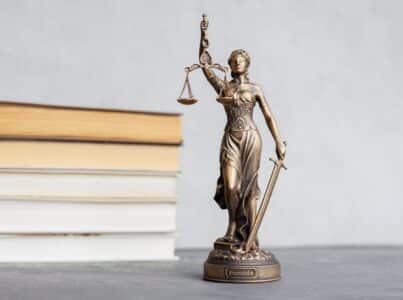 Criminal Defense Lawyer