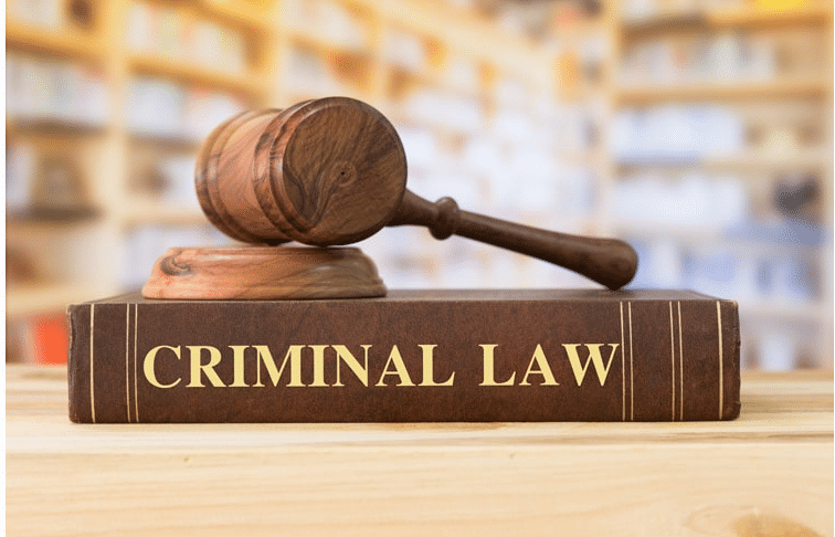 Criminal Expungement Law