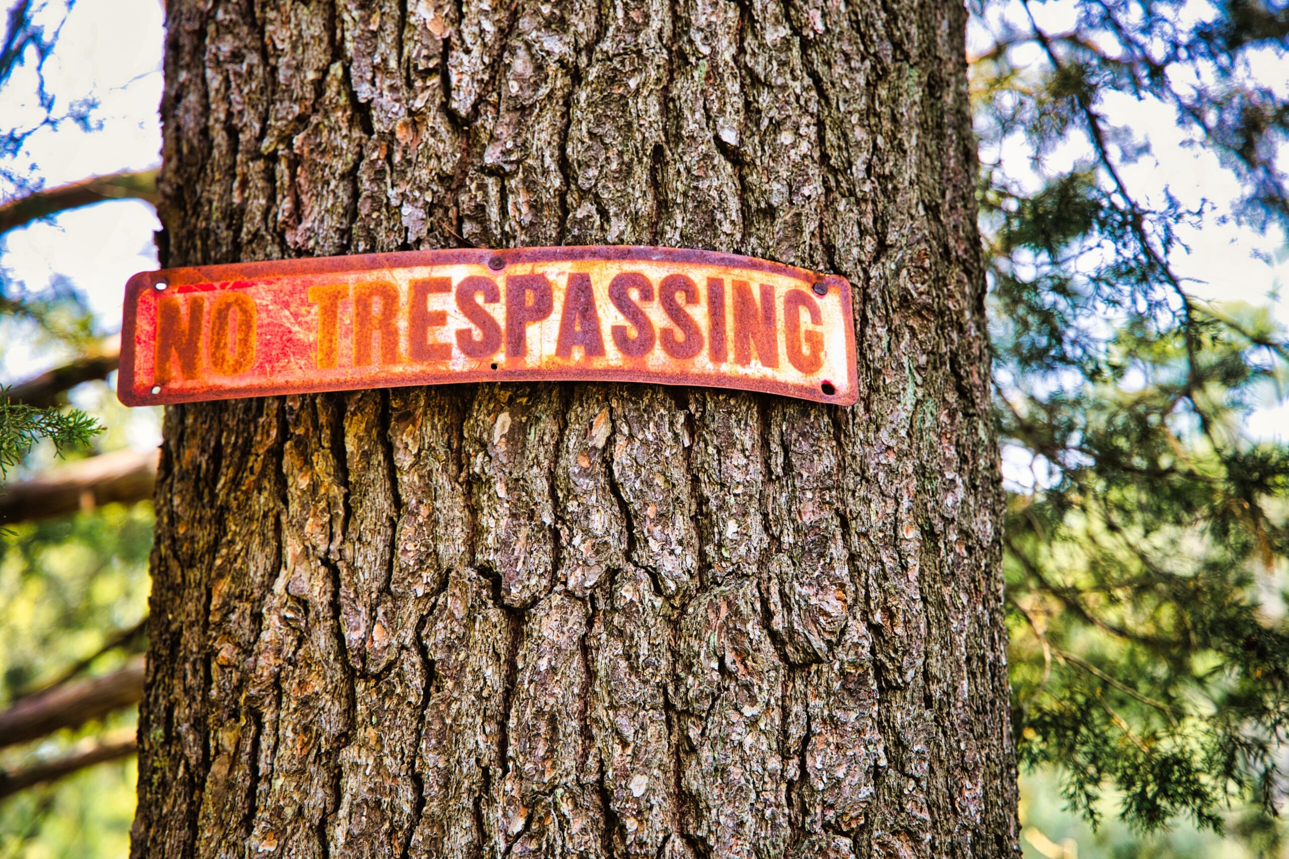 Elements of Trespassing