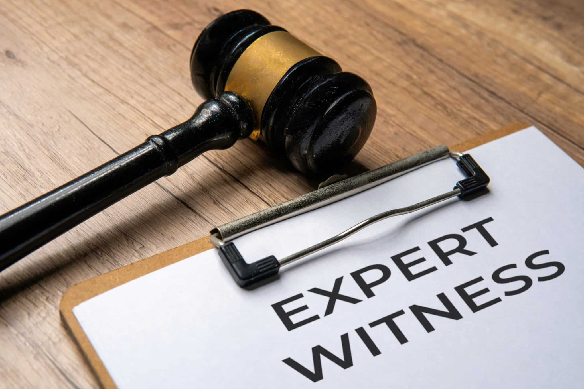 Expert Witnesses