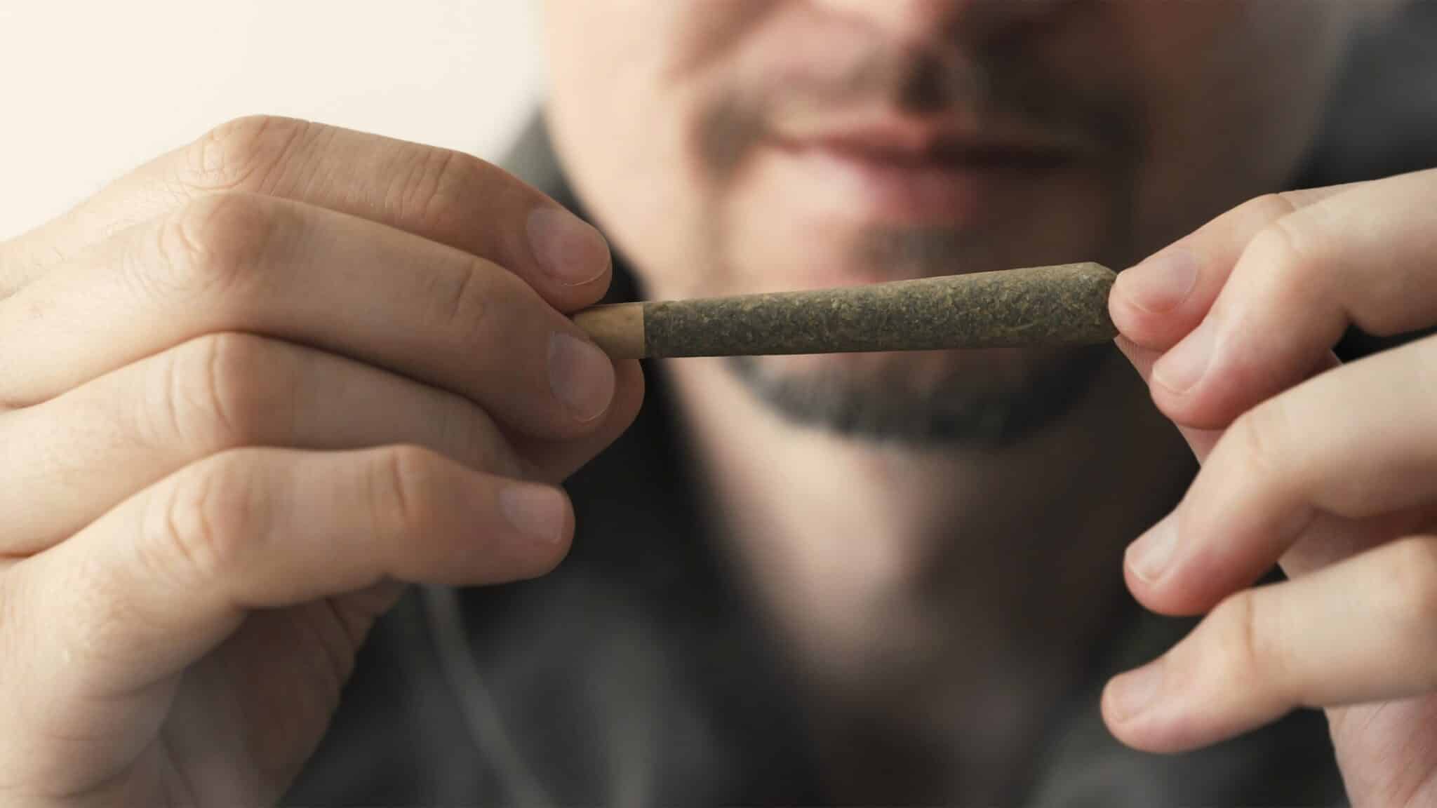 MARIJUANA
